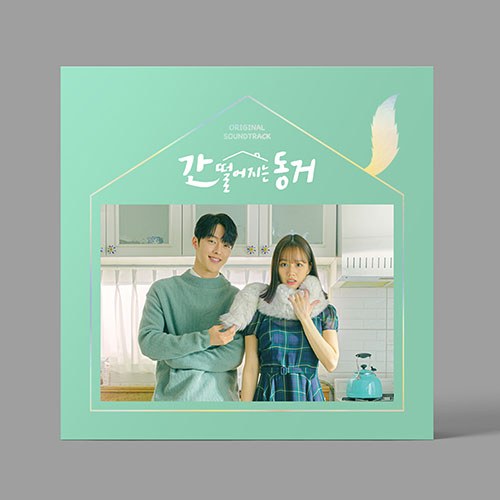tvN 드라마 - 간 떨어지는 동거 OST (2CD)