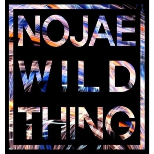 노재 - NOJAE'S WILD THING