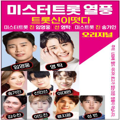 미스터트롯 열풍 트롯신이 떳다 (USB)