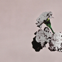John Legend - Love In The Future (Special Edition)