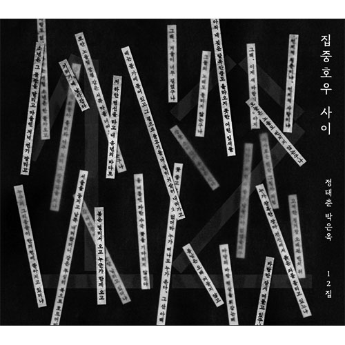 정태춘 박은옥 - 12집 [집중호우 사이] (CD)