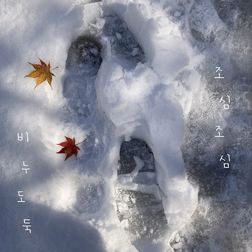 비누도둑 - 정규앨범 [조심조심]