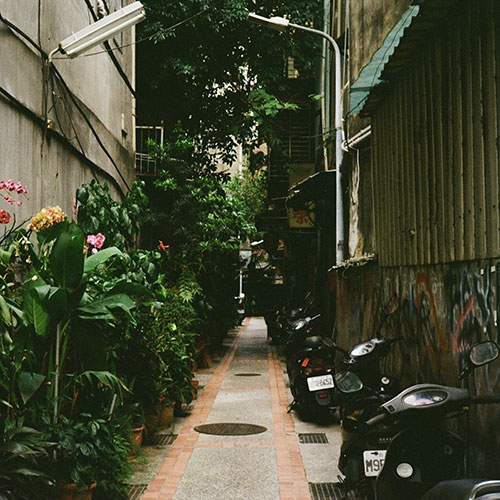 모트 (MOTTE) - 잔상