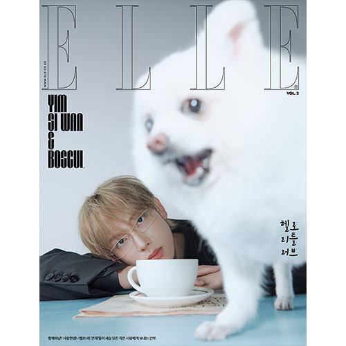 ELLE 엘르 (여성월간) 11월 Vol.2 [2025] 표지 C형 임시완