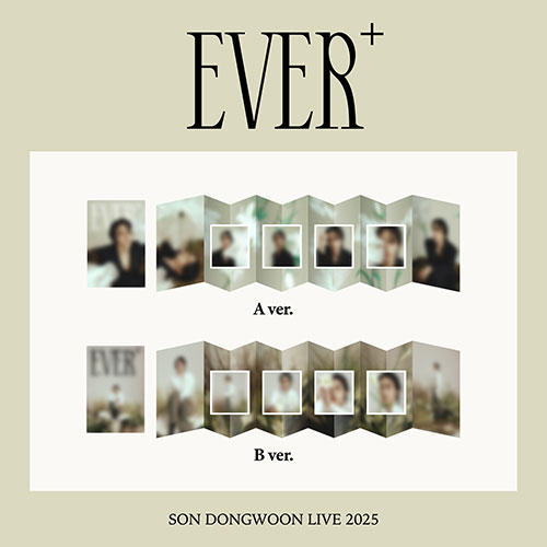 손동운 (SON DONGWOON) - 2025 SOLO CONCERT OFFICIAL MD / 아코디언 엽서 (ACCORDION POSTCARD)