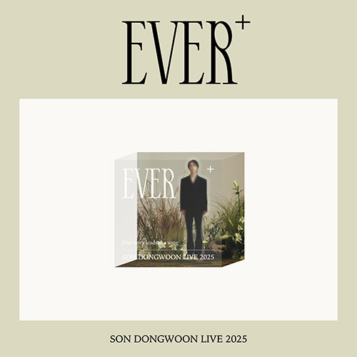 손동운 (SON DONGWOON) - 2025 SOLO CONCERT OFFICIAL MD / 아크릴 디오라마 스탠드 (ACRYLIC DIORAMA STAND)