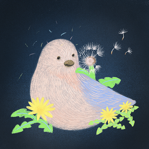 새의 전부 - EP앨범 [노래하는 새]