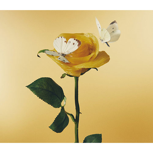 Aimyong (あいみょん) - Heard that there's good pasta (Limited Edition) (2CD 일본 수입반)